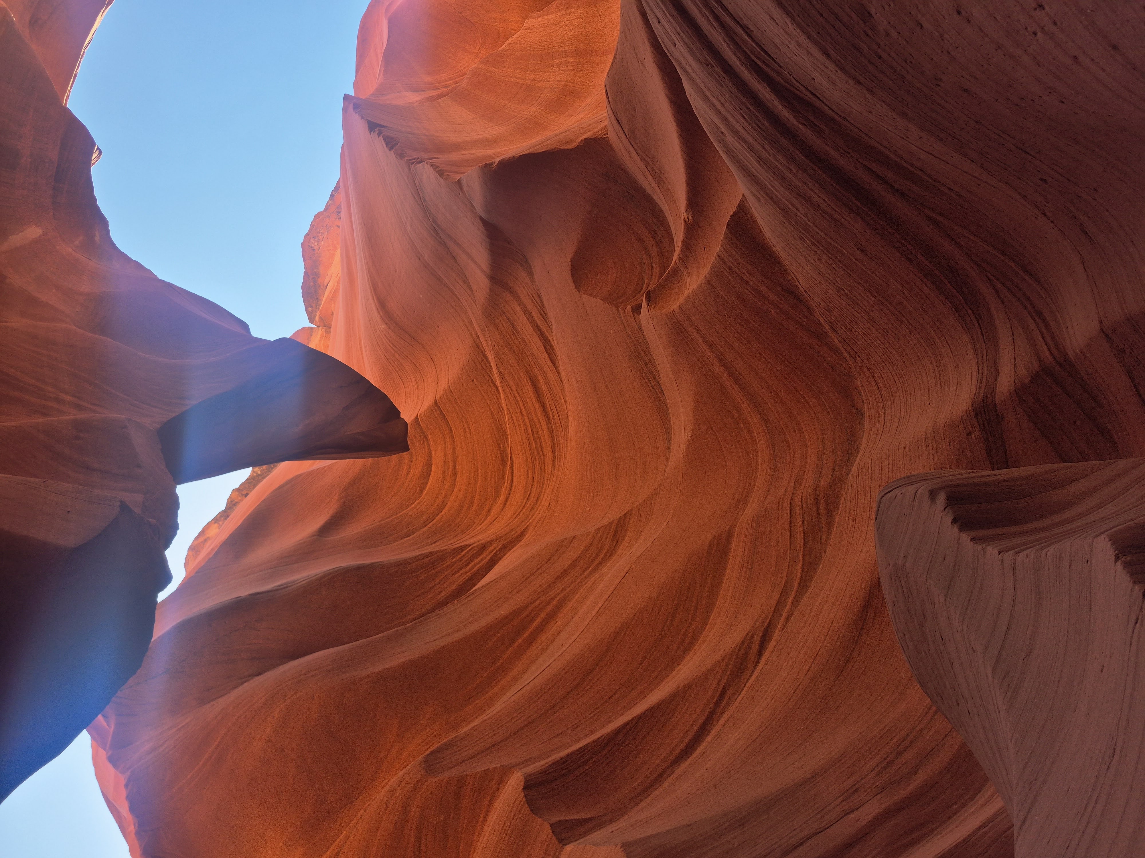 The smooth, wave-like orange and red sandstone walls of Lower Antelope Canyon curving overhead, with daylight filtering down through the narrow slot