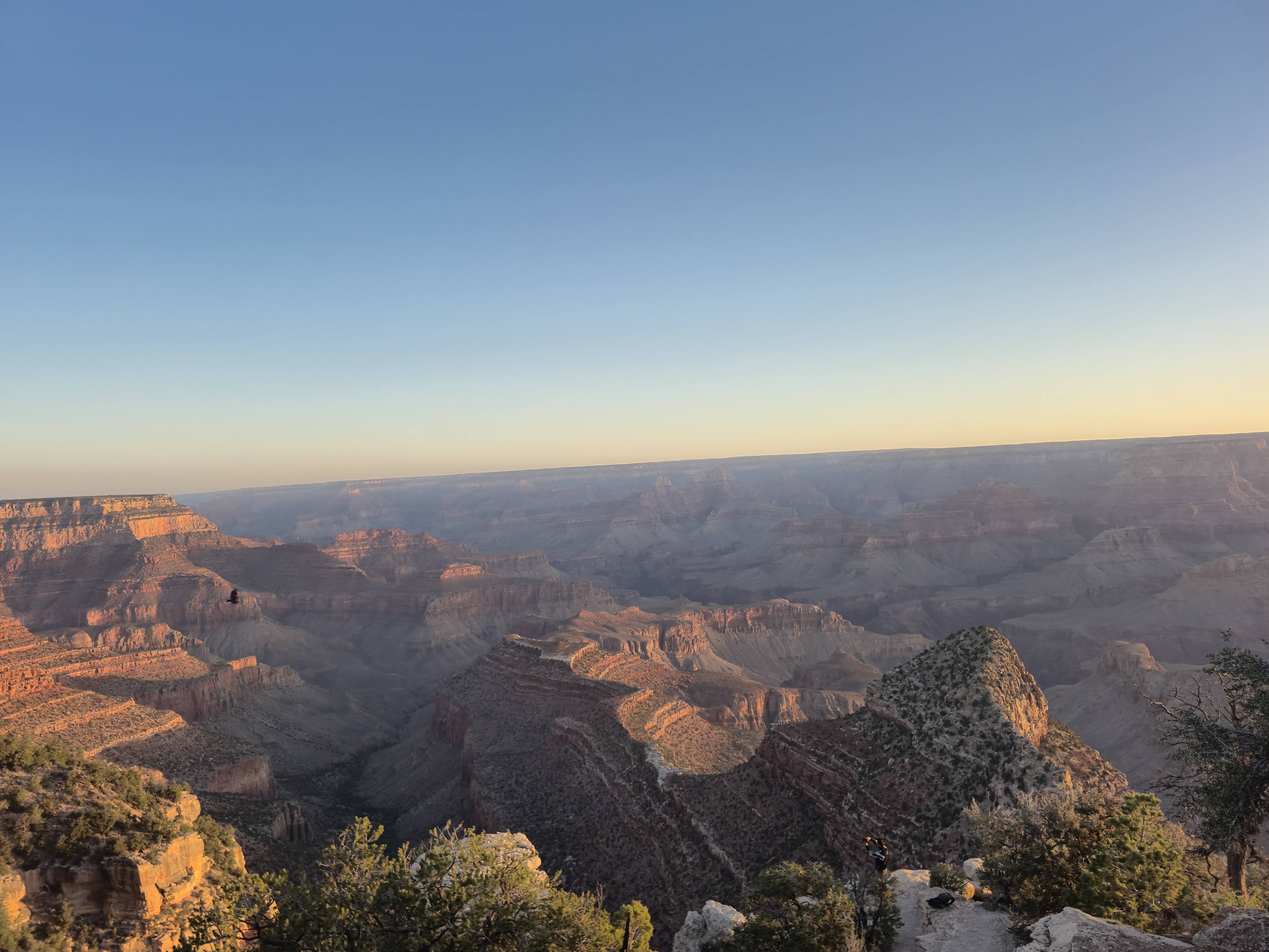 The Grand Canyon at dawn from the South Rim — layered red rock ridges receding into haze under a clear sky, a bird in flight over the canyon